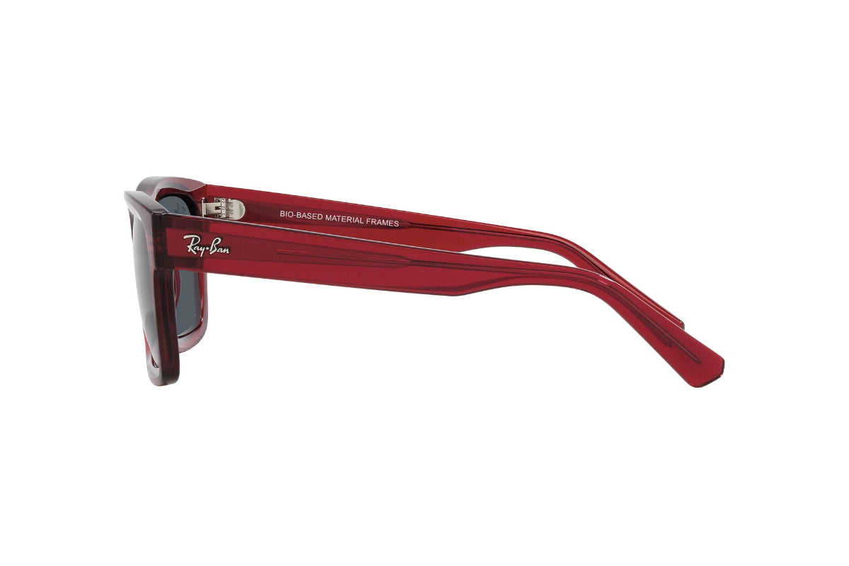 Ray-Ban Warren